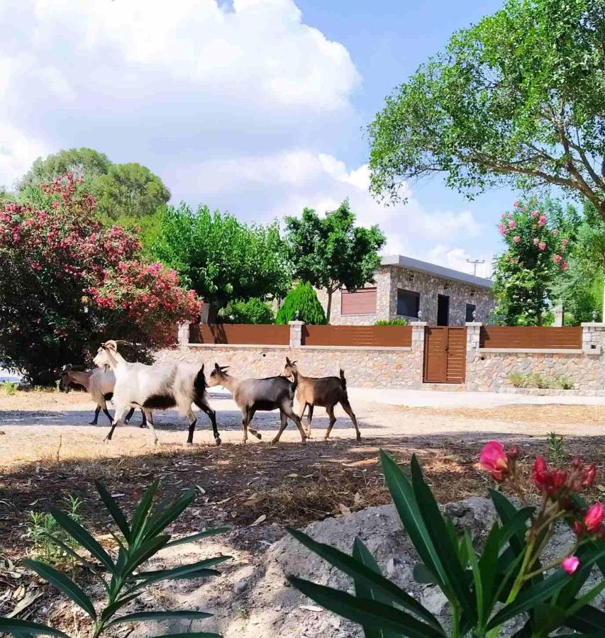 Aithonas Villa アルハンゲロス エクステリア 写真
