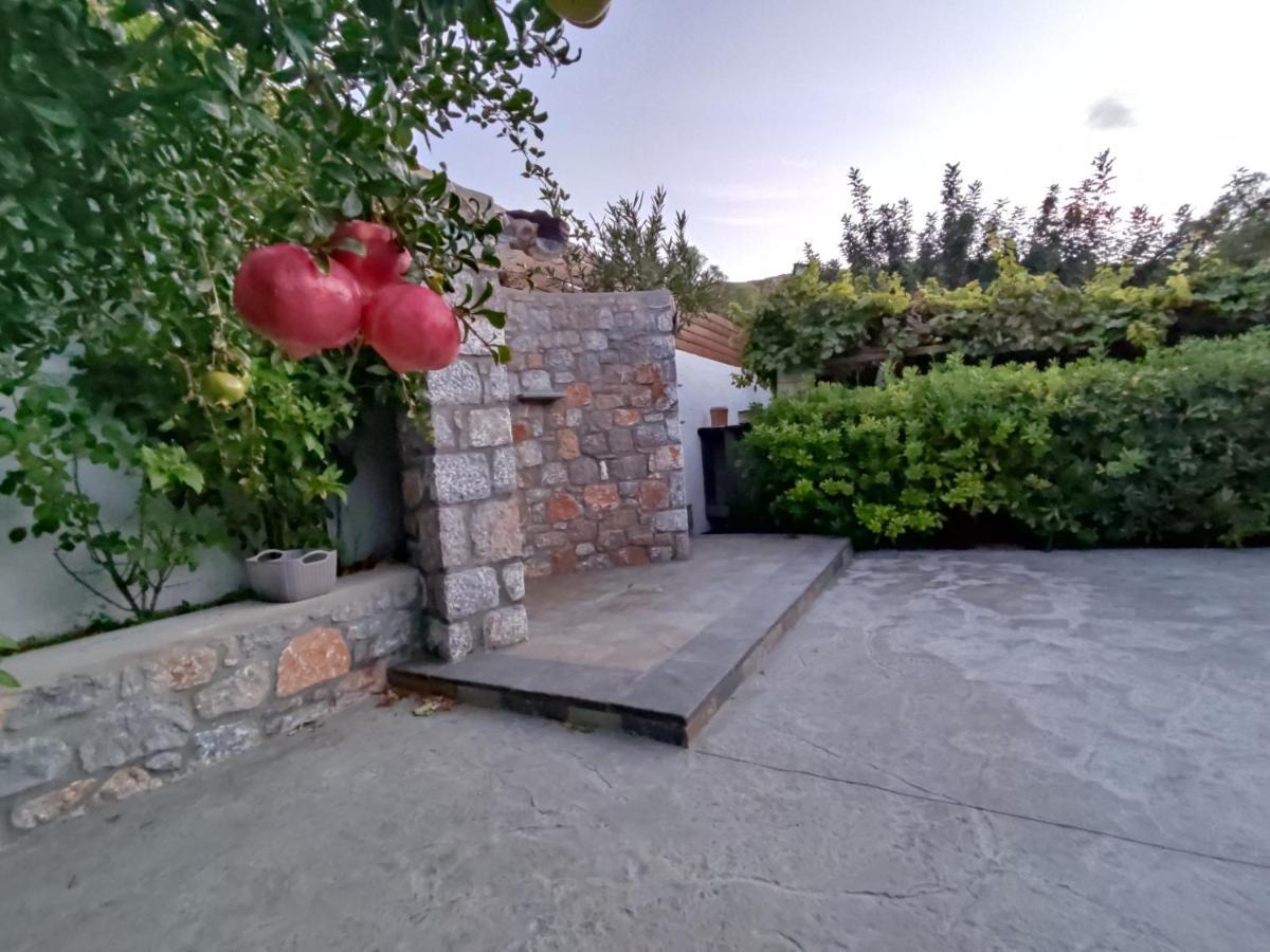 Aithonas Villa アルハンゲロス エクステリア 写真