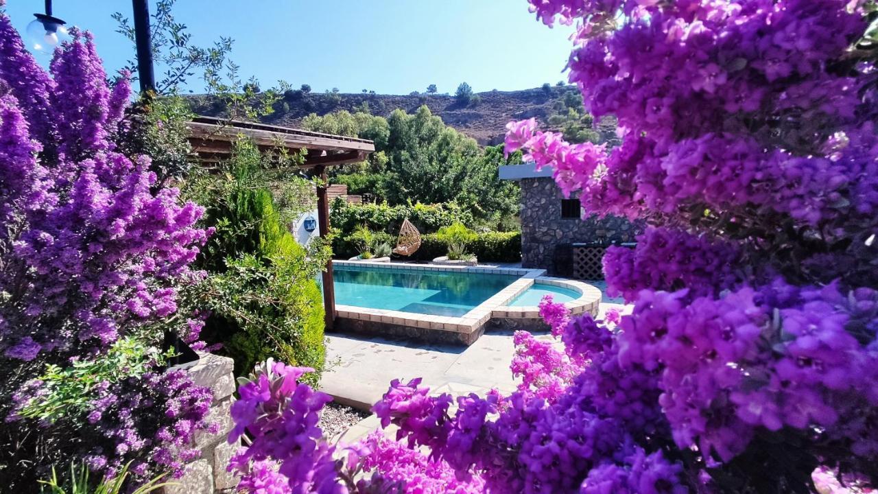 Aithonas Villa アルハンゲロス エクステリア 写真