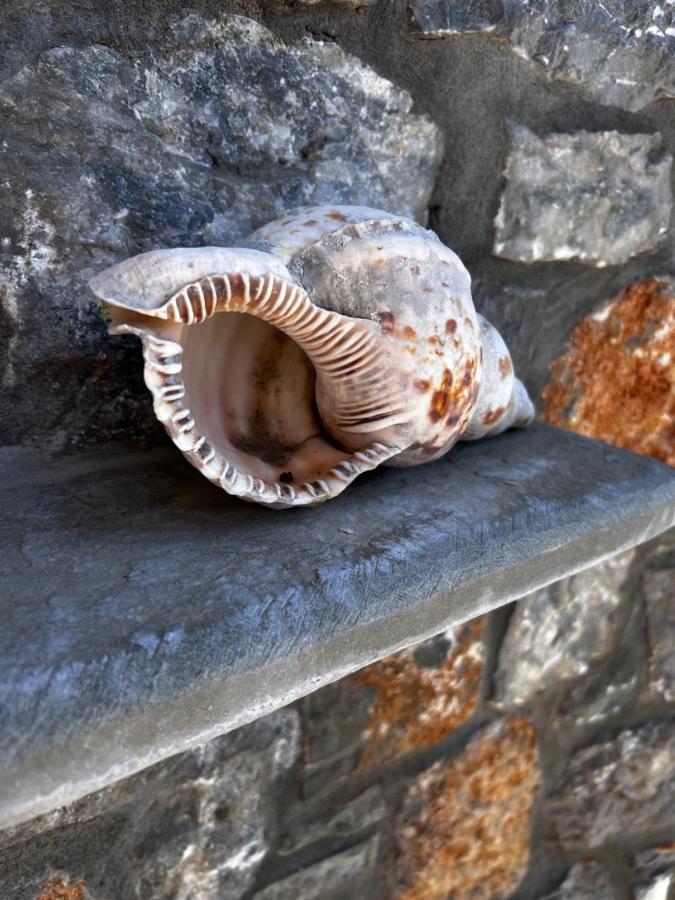 Aithonas Villa アルハンゲロス エクステリア 写真