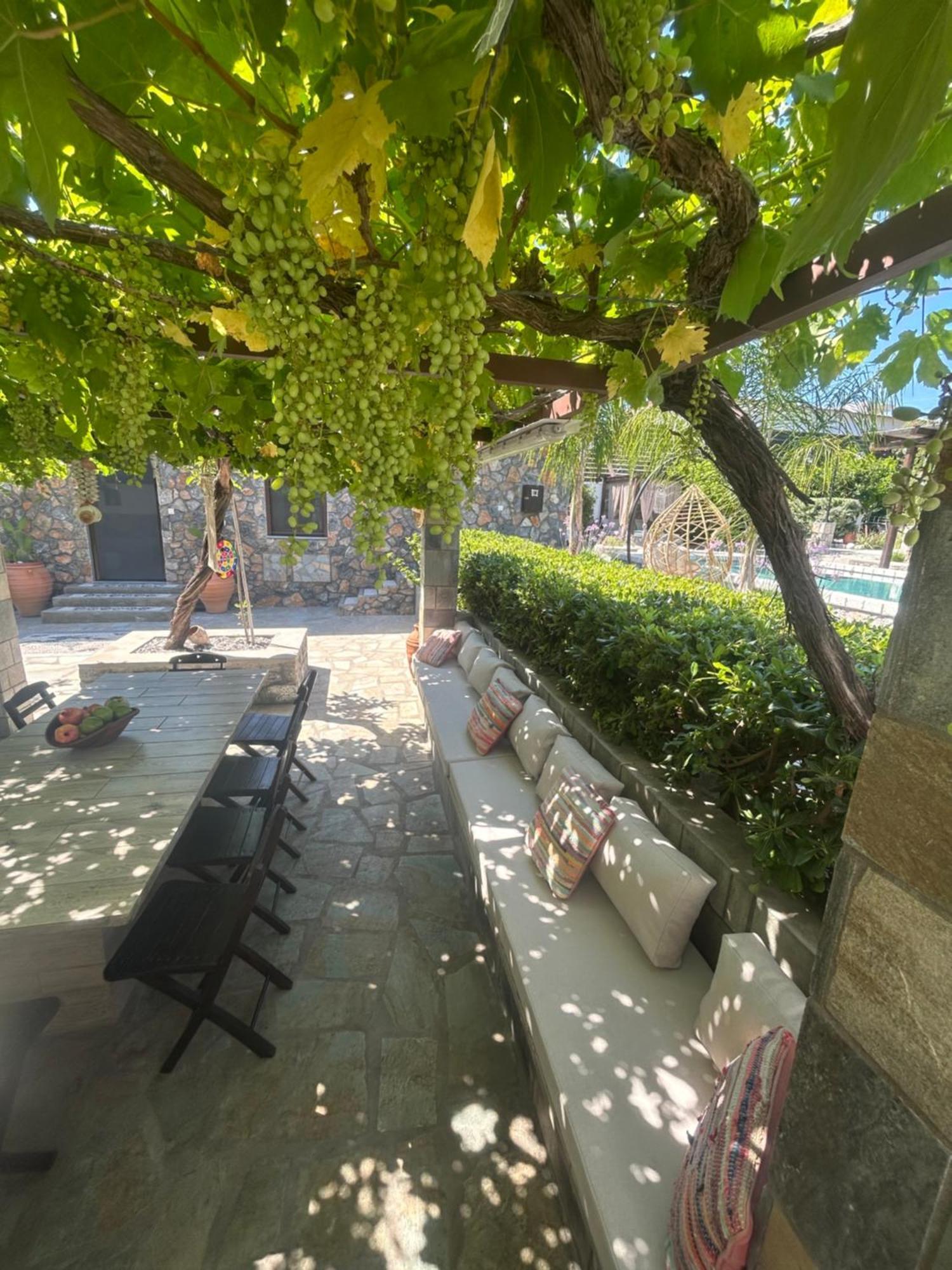 Aithonas Villa アルハンゲロス エクステリア 写真