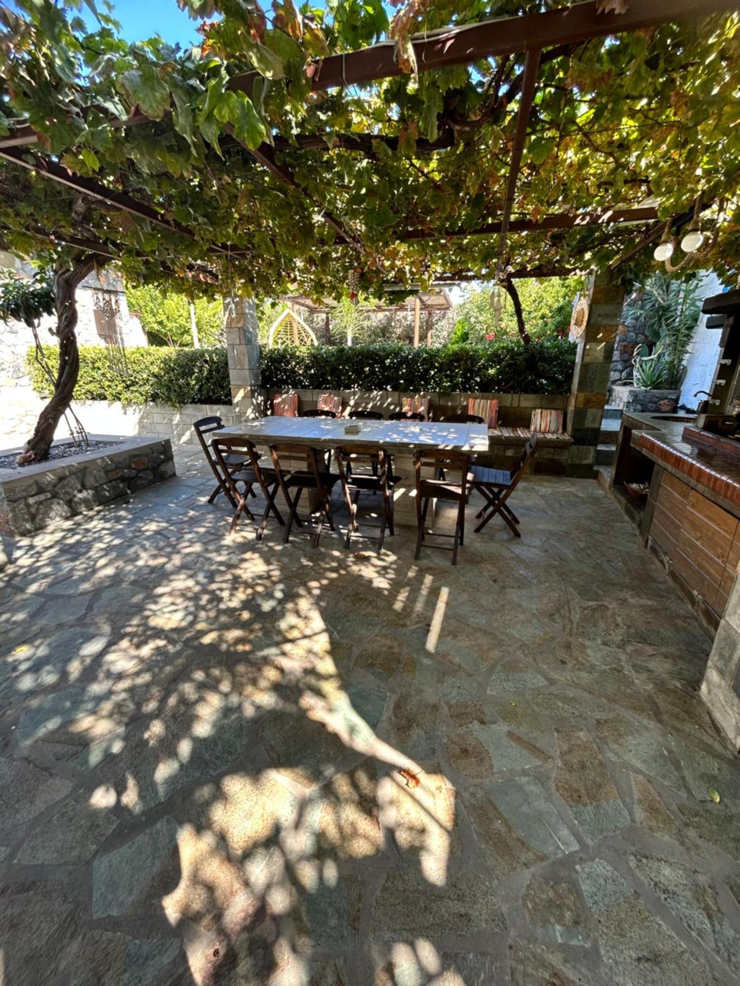 Aithonas Villa アルハンゲロス エクステリア 写真